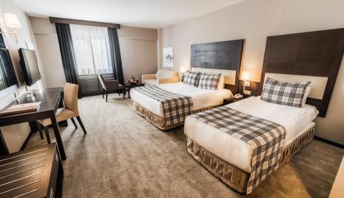 Standard King Room