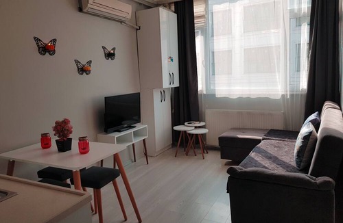 Tophane Apartment | One-Bedroom Apartment within Walking Distance to Galataport