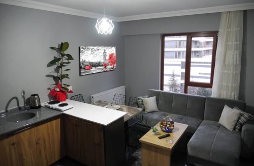 Tokat Hotel | DAĞKENT PLUS SUİT