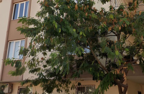 Kepez Apartment | in the city center, 10 minutes from the university and 20 minutes from the beach