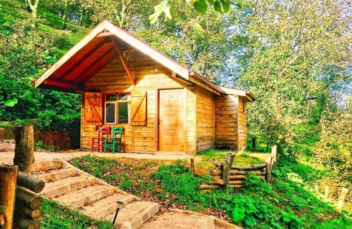 Derbent Cabin | Yesil Dus Vadisi Bungalow Restoran