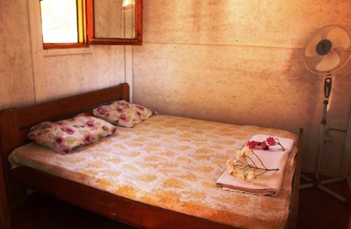 Patara Hostel | Medusa Bar & Camping - Hostel