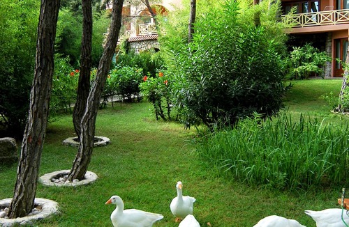 Tekirova Resort | Martı Myra - All Inclusive