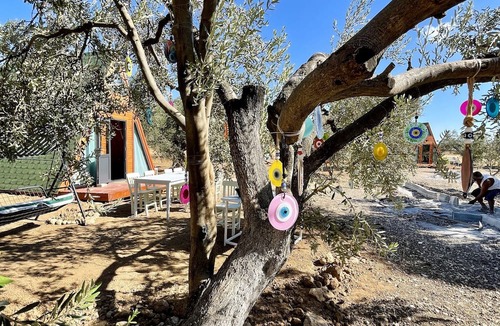 Ayvalik Cabin | Bıngıdı Bungalov