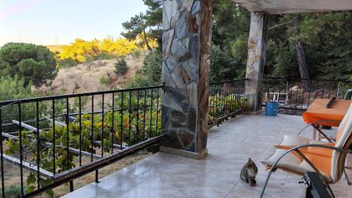Bayindir Ski Chalet | Authentic Stone Chalet and Orchard in the Forest