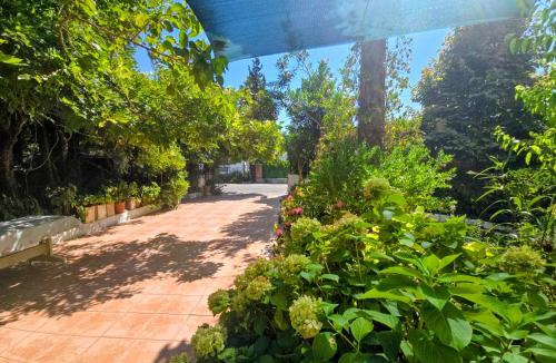 Koycegiz Hostel | akman pansiyon