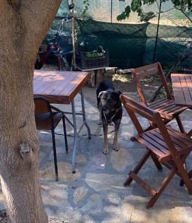 Zeytinli House | Ailemizin tatil evi