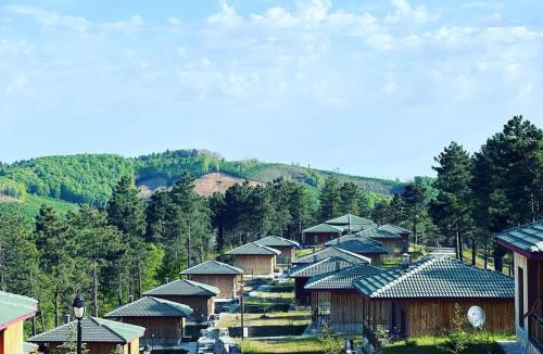 Unye House | May Villas Cet Mountain 1-1 Bungalow with Fireplace 104