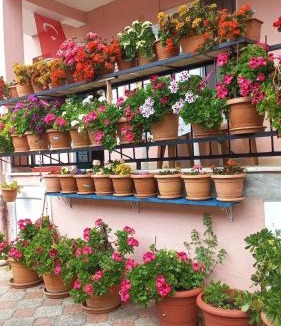 Koycegiz Apartment | GÜNIŞIĞI Pansiyon