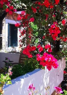 Oludeniz City Center Hotel | Symbola Oludeniz Beach Hotel
