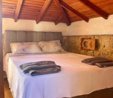 Yesilyurt Koyu House | Twin houses Mount Ida