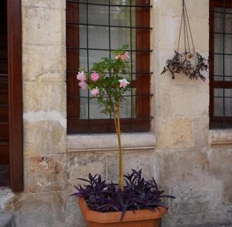 Sahinbey House | Gaziayintap Konağı