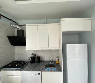 Altınordu Apartment | TURKERHOMe