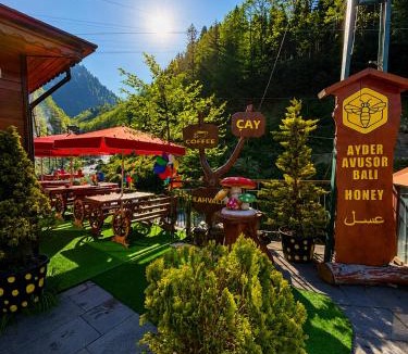 Ayder Yaylasi Hotel | Ayder Avusor Hotel