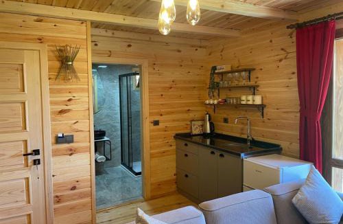 Ayder Apartment | Derya Dağ Evleri