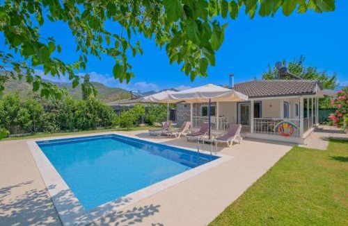 Ortaca Villa | Villa Ata Park Ortaca