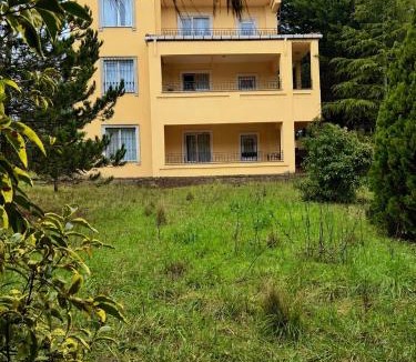 Arnavutkoy Cabin | The mountain villa closest to the airport