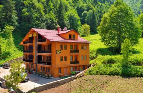 Uzungol Apartment | Auga Apart