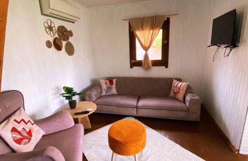 Sapanca Ski Chalet | Sapanca Balkaya Bungalov Dağ evi