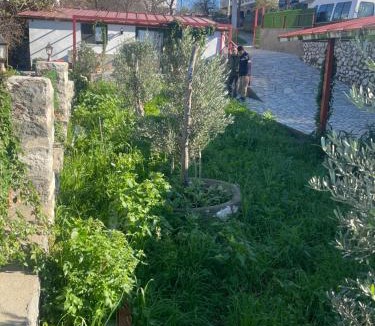 Avlana House | Söğüt Taşlıca Osman Köy Evi