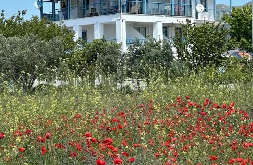 Eriklice Hotel | Akmonya Pansiyon