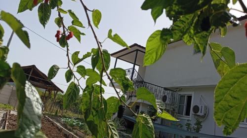 Dalaman Apartment | Gelinkızı Apart