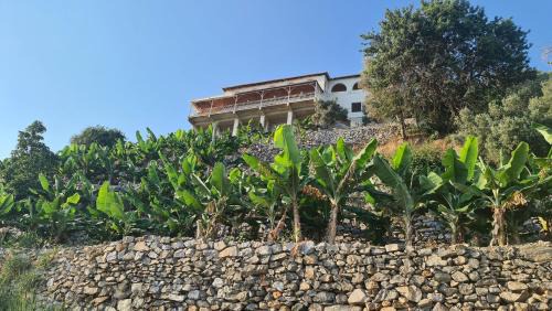 Seki House | Uğrak Home