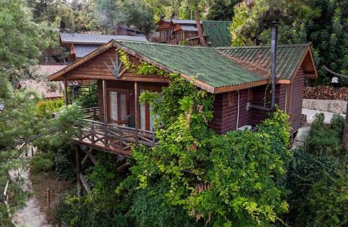 Karacaoren Resort | Botanik Göl Evleri