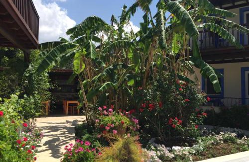 Gumusluk Apartment | Paradise Garden Apartments