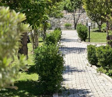 Oludeniz Hotel | Casa De Levıssı Ölüdeniz