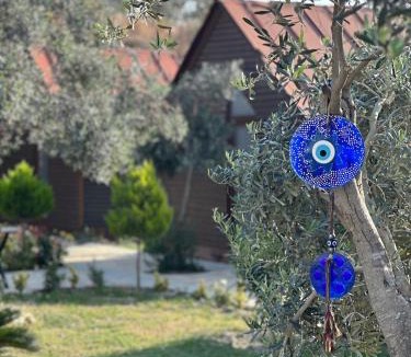 Samandagi Hotel | Luna Home Club