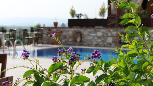 Selcuk Hotel | Ayasoluk Hotel & Restaurant