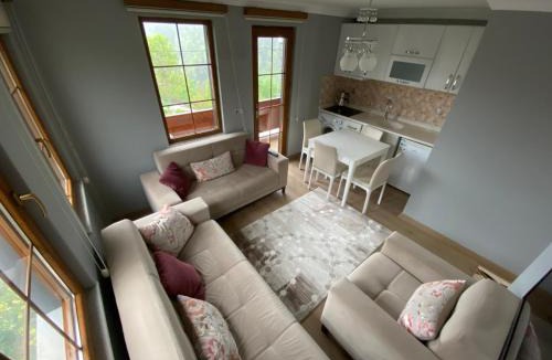 Uzungol Apartment | Uzungol Apart