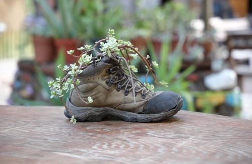 Olympos House | Simurg Evleri Olympos