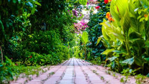 Cirali Bed & Breakfast | Lemon Garden Lodge