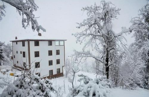 Ovacik Apartment | Hayrat black sea aparts
