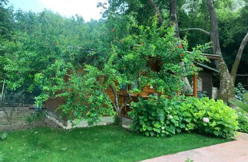 Olympos House | Adabella Pension