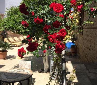 Kaleici Hotel | White Garden Hotel-Adult Only