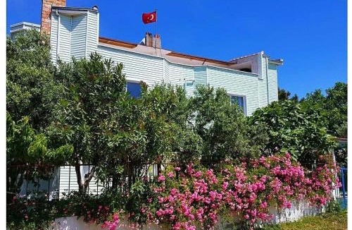 Eriklice Hotel | Akmonya Pansiyon