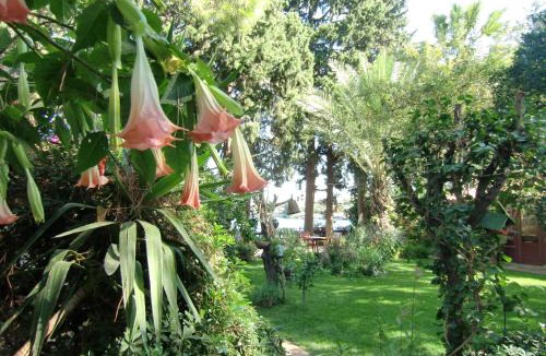 Dalyan City Center House | Hotel Happy Caretta