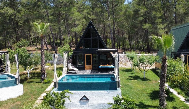 Telmessos - located in a cedar forest, our natural healer - de-stress and unwind in Kalkan