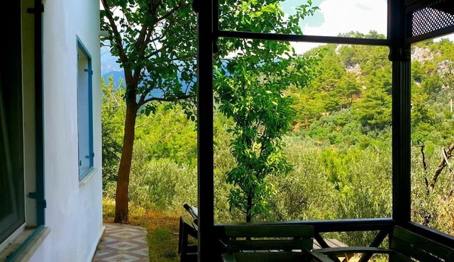 Kozalak Tatil Evi