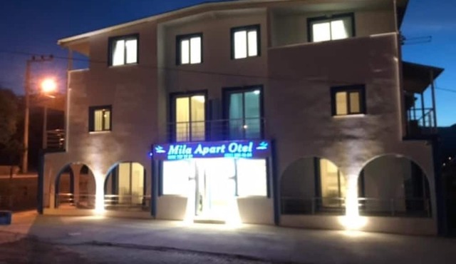 Fully Furnished, Comfortable Flat in Izmir in Izmir