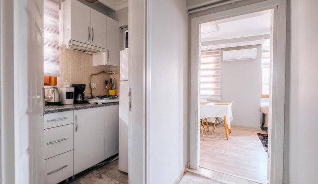 Central Flat Near Golden Horn and Bilgi University in Istanbul
