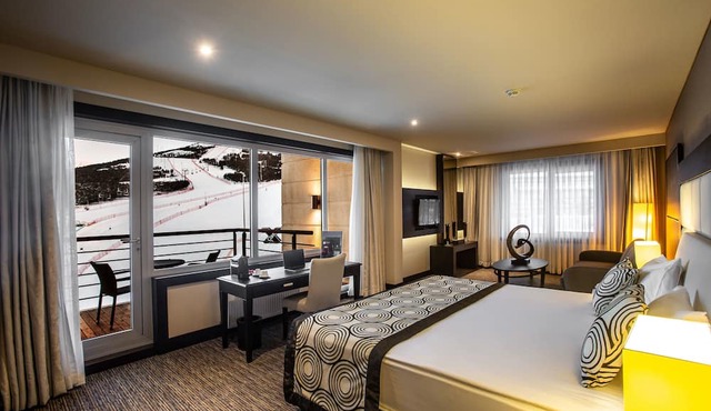 Sway Hotels in Erzurum