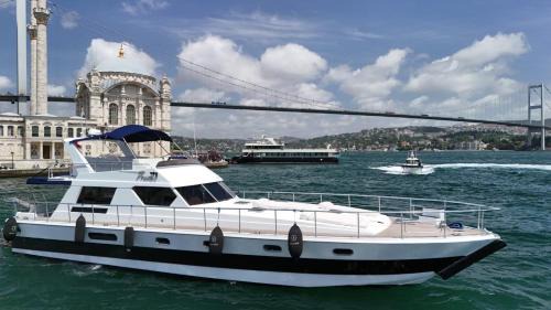 Barans in Istanbul