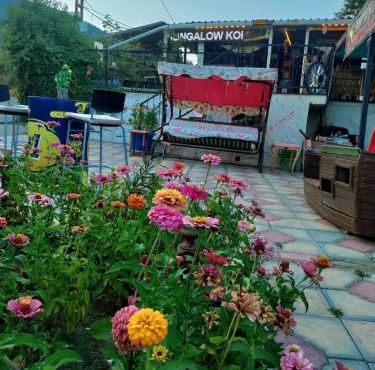 İda Tahtalıköy Bungalov