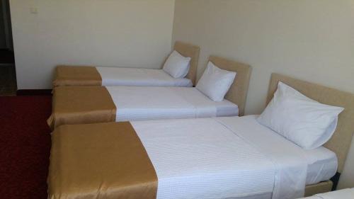 Butik Ertur Hotel in Doğubayazıt