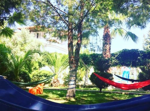 Kaizen Gate Hotel in Oludeniz