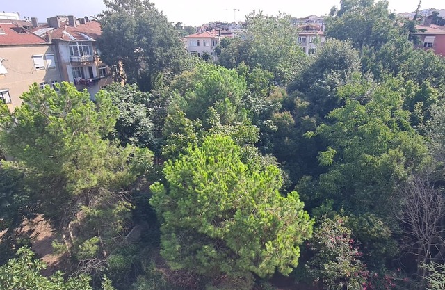 Kadıköy 